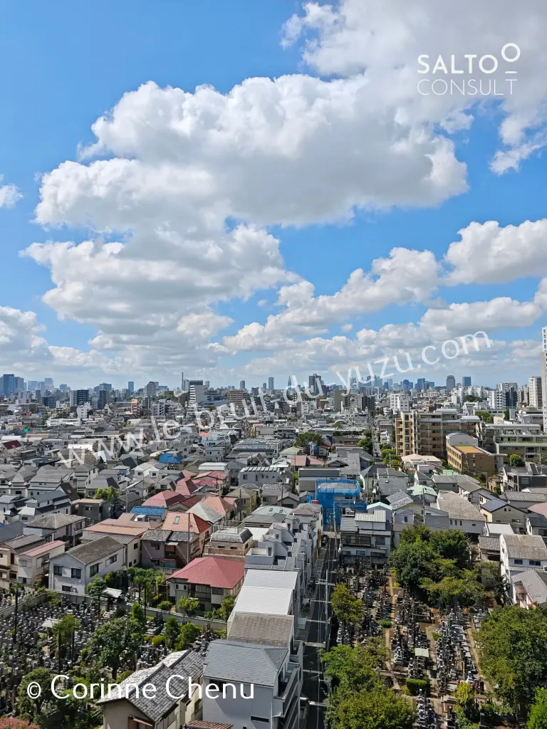 Toit de l'Orient ou Tokyo Zen vu du Ciel (e-photo)