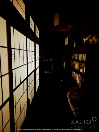Mystère d'un Ryokan ou l'ombre d'Hiroshima (e-photo)