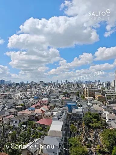Toit de l'Orient ou Tokyo Zen vu du Ciel (e-photo)